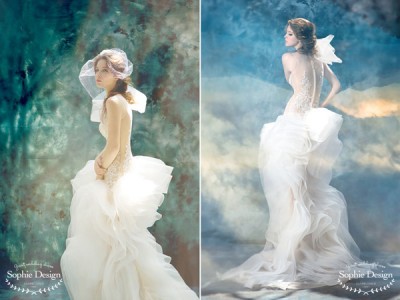 Ice Queen Style Stunning Wedding Dresses For Winter Wonderland