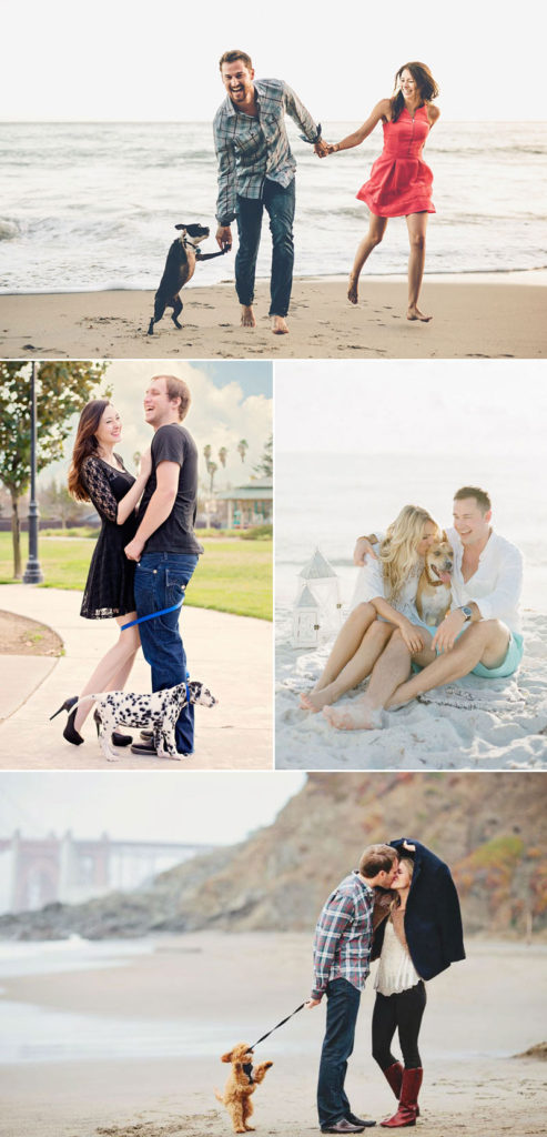 How To Include Your Furry Friends? 18 Super Adorable Engagement Photo ...